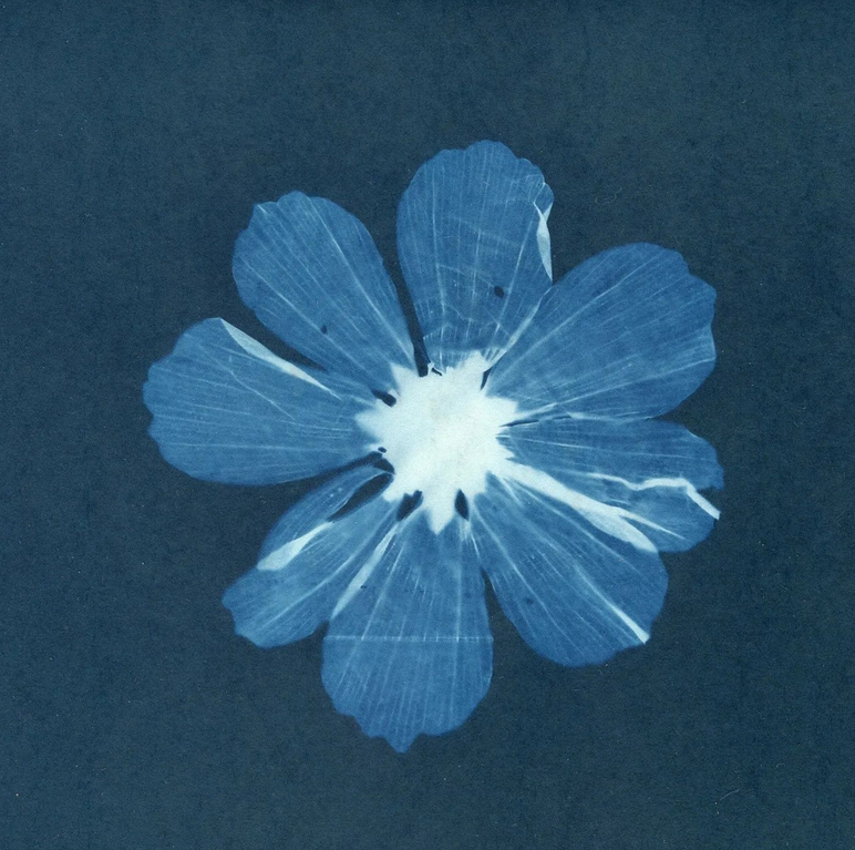 Screenshot 2022-11-24 at 08-17-47 Studio Deau (@studiodeau) • Instagram photos and videos